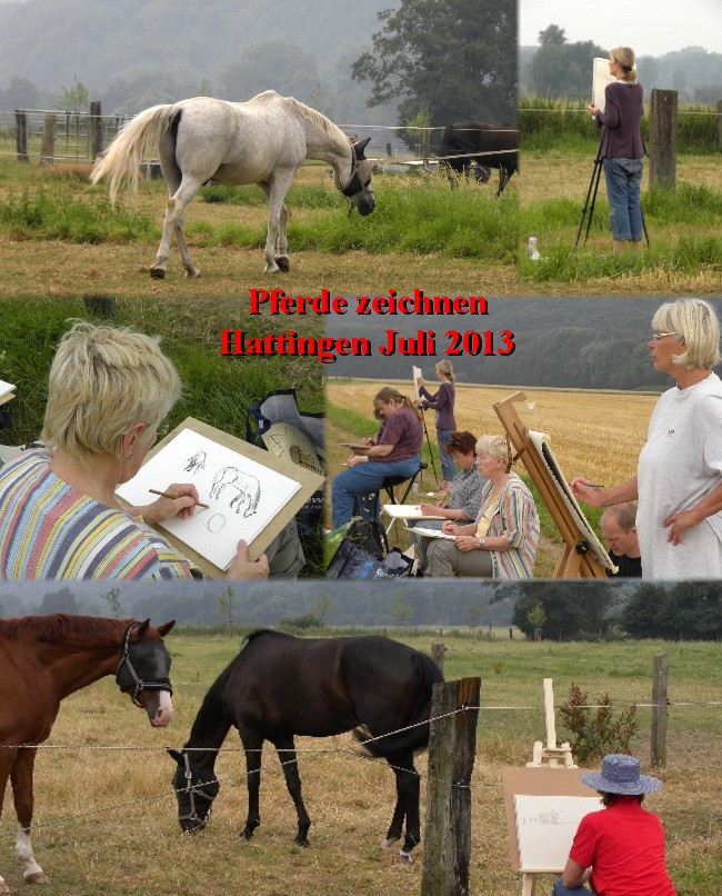Pferde Hattingen 2013 650