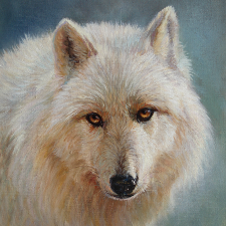 Weisser Wolf